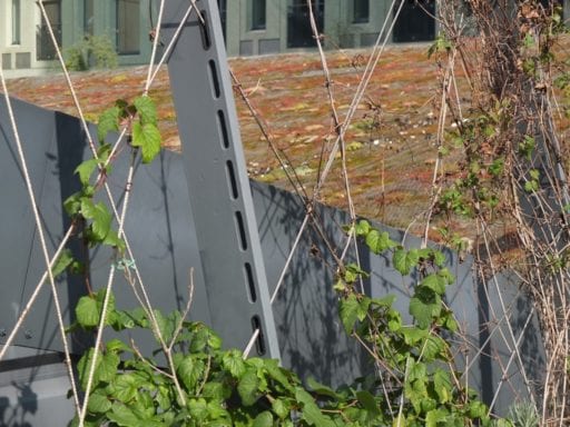 Ichtushof Rotterdam spankabels met slingerplanten