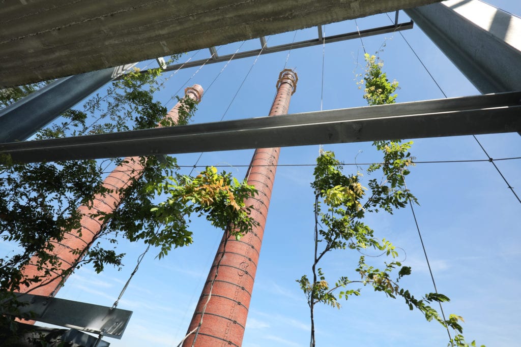 Powerhouse Eindhoven met spankabels langs gevel voor groene gevels - Carl Stahl Green Walls