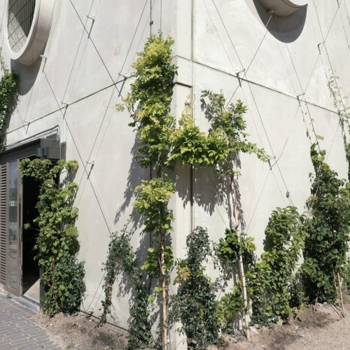 Groene gevel met spankabels - Amstelpark - Carl Stahl Green Walls