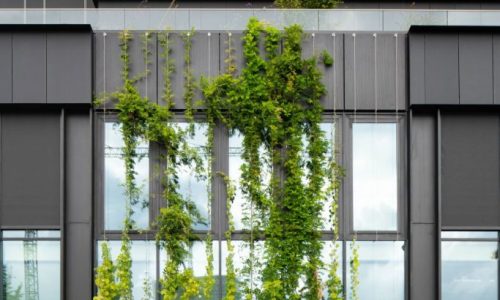 Max & Moore Amsterdam - Spankabels groene gevel - Carl Stahl Green Walls - ©egbertdeboer.com LR20230829-03367